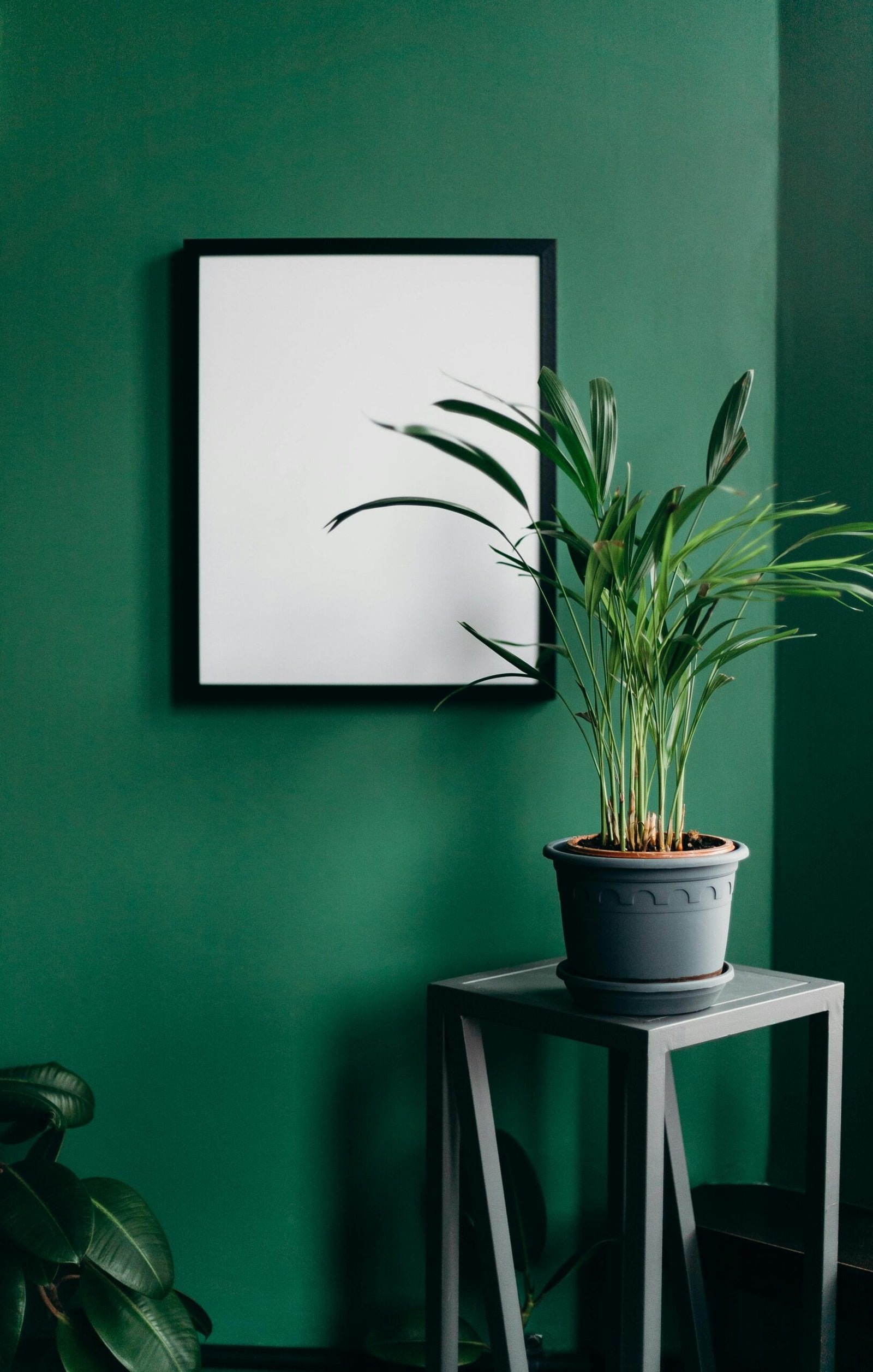 Mockup ve Ürün Sunum Tasarımları 2 Ürünlerinizi dijital ortamda profesyonel, estetik ve dikkat çekici mockup çalışmalarıyla sunuyoruz. Marka algınızı güçlendiren, satış potansiyelinizi artıran yüksek kaliteli sunum tasarımları hazırlıyoruz.