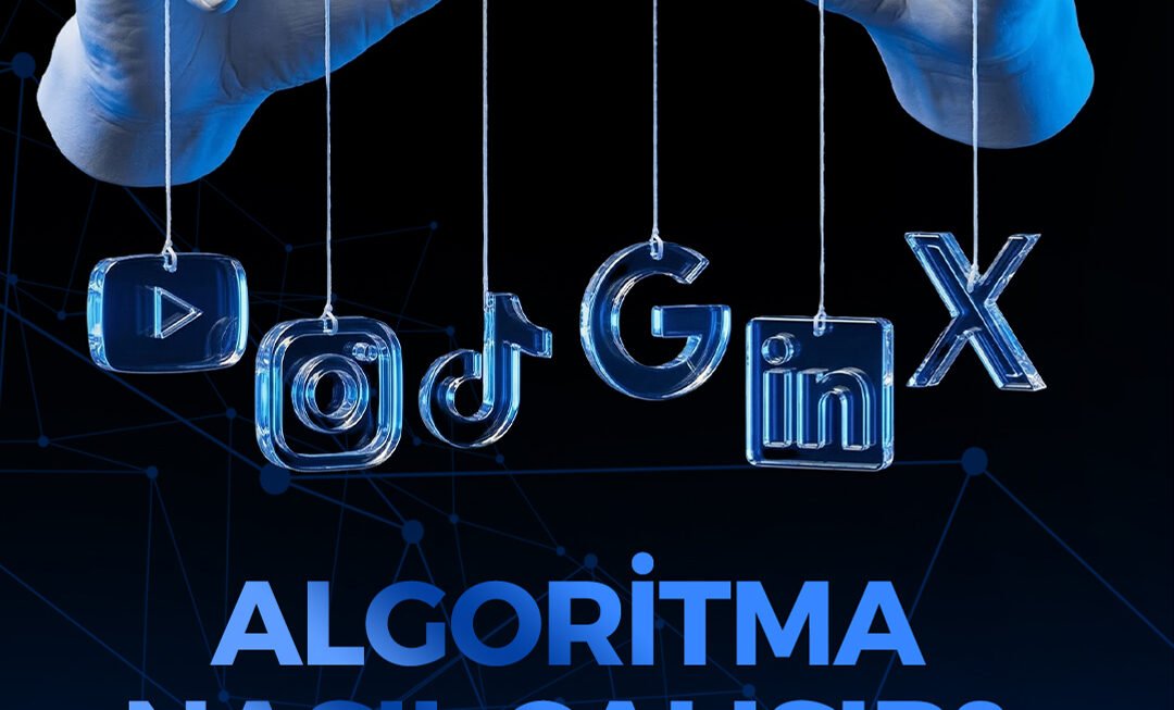 Sakarya dijital pazarlama ajansı Ti Dizayn çalışma ortamı ve SEO Ajansı Ofis Ekip Çalışması